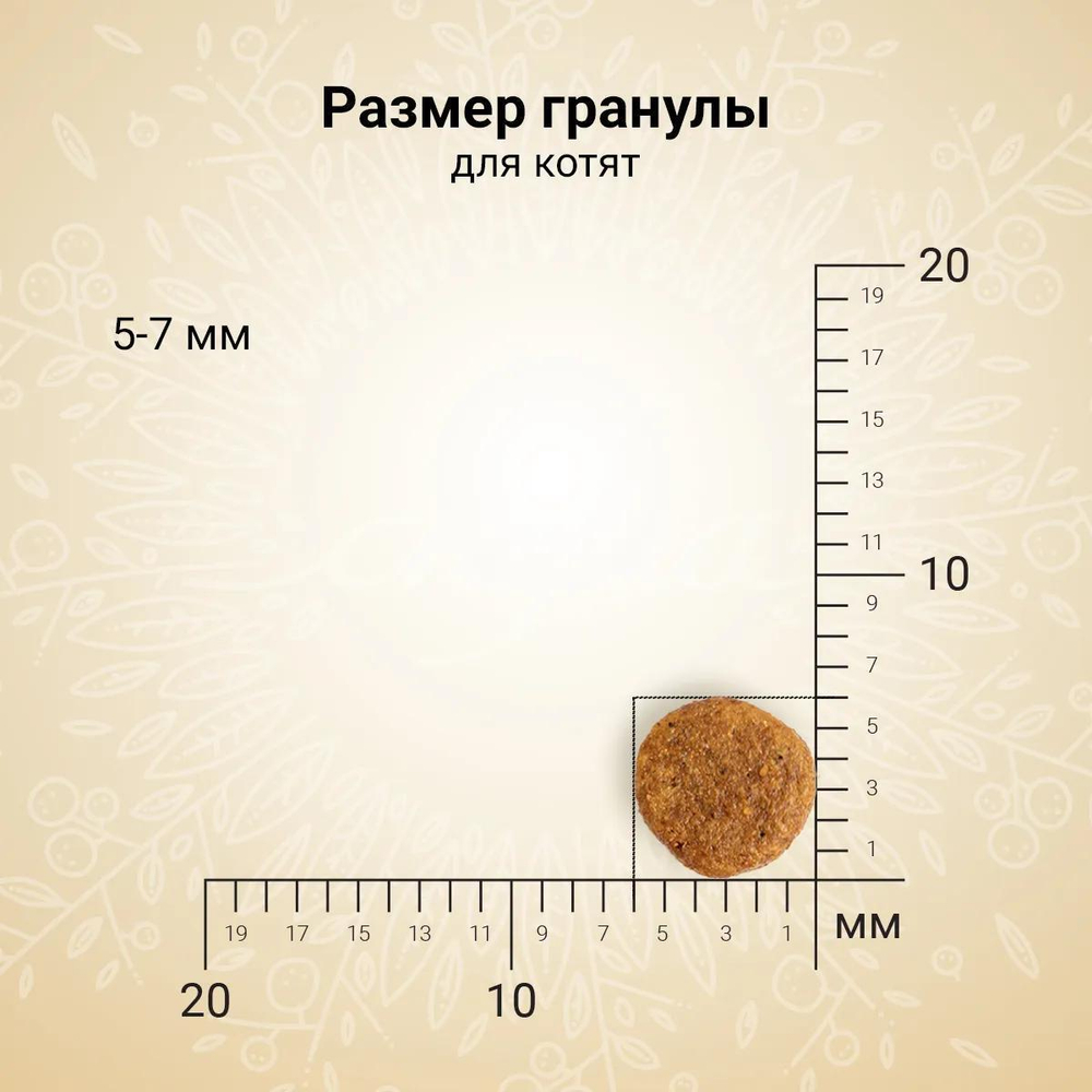 Корм для котят Craftia Harmona, 320 г, курица и рыба
