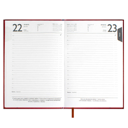 Ежедневник датированный 2025 ESCALADA, #ИЛОН МАСК, А5, 176 л.