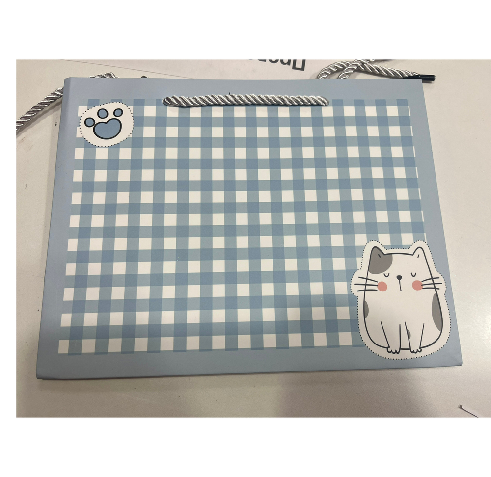 Пакет 23х18х10см Котик 141V-977