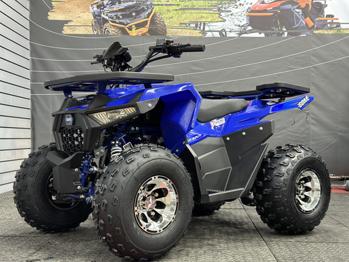 Квадроцикл GBM DAXTER 220 NEW PREMIUM