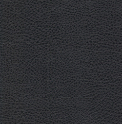 Искусственная кожа Борнео блэк (Borneo black)