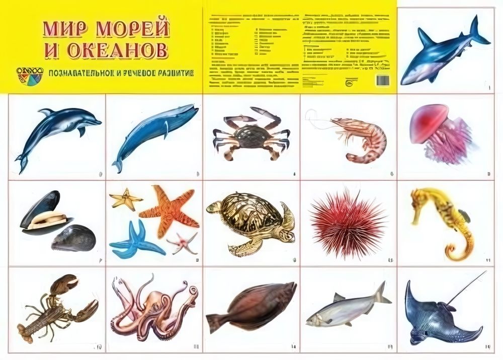 Плакат демонстрационный супер А2 &quot;Мир морей и океанов&quot; (Сфера)