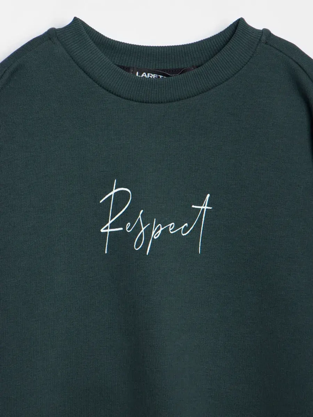 Спортивный костюм для мальчика, свитшот и брюки