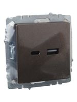 BRITE Розетка USB A+C 18Вт РЮ11-1-БрТБ темная бронза IEK