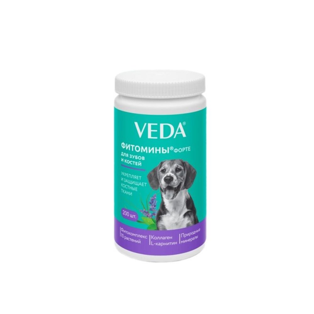 Кормовая добавка Фитомины ФОРТЕ для собак с фитокомплексом для зубов и костей, Банка 100 г