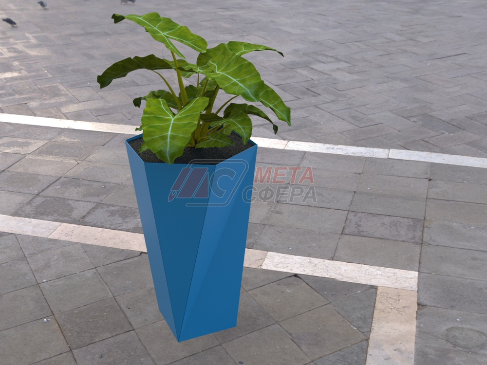 Вазон Скеу высокий