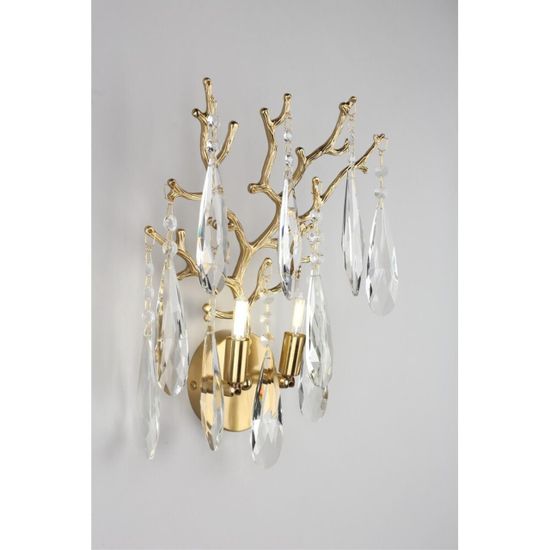 Светильник настенный (Бра) OML-52901-02