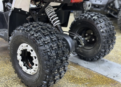 КВАДРОЦИКЛ PROMAX WILD 2.0 190