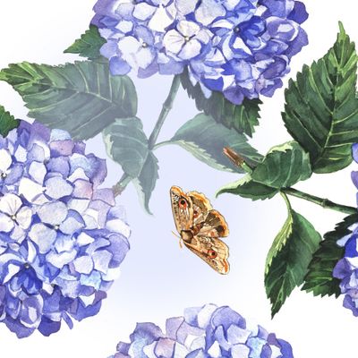 Голубая гортензия и бабочки