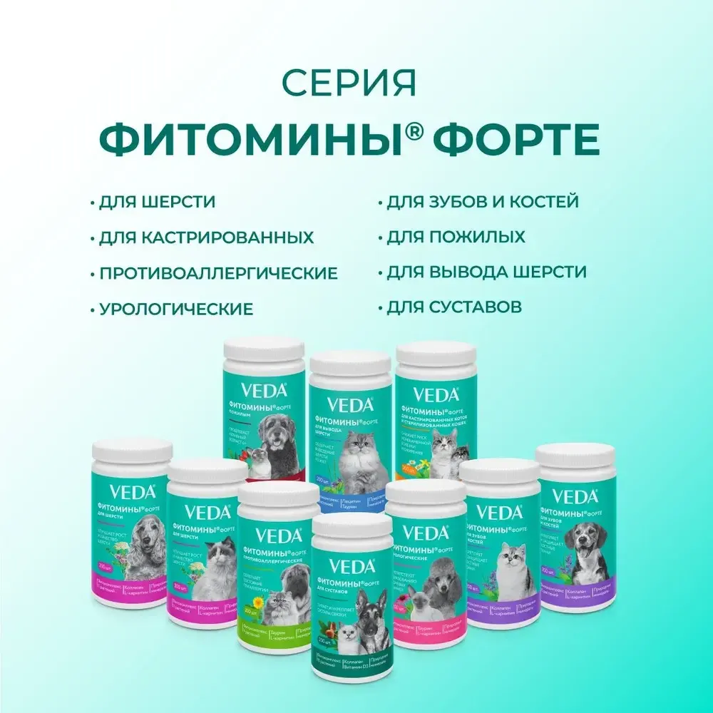 Витамины Фитомины Форте для зубов и костей собак, на основе растительных, минеральных и биоактивных веществ, 200 таблеток Витамины Фитомины Форте для зубов и костей собак, на основе растительных, минеральных и биоактивных веществ, 200 таблеток