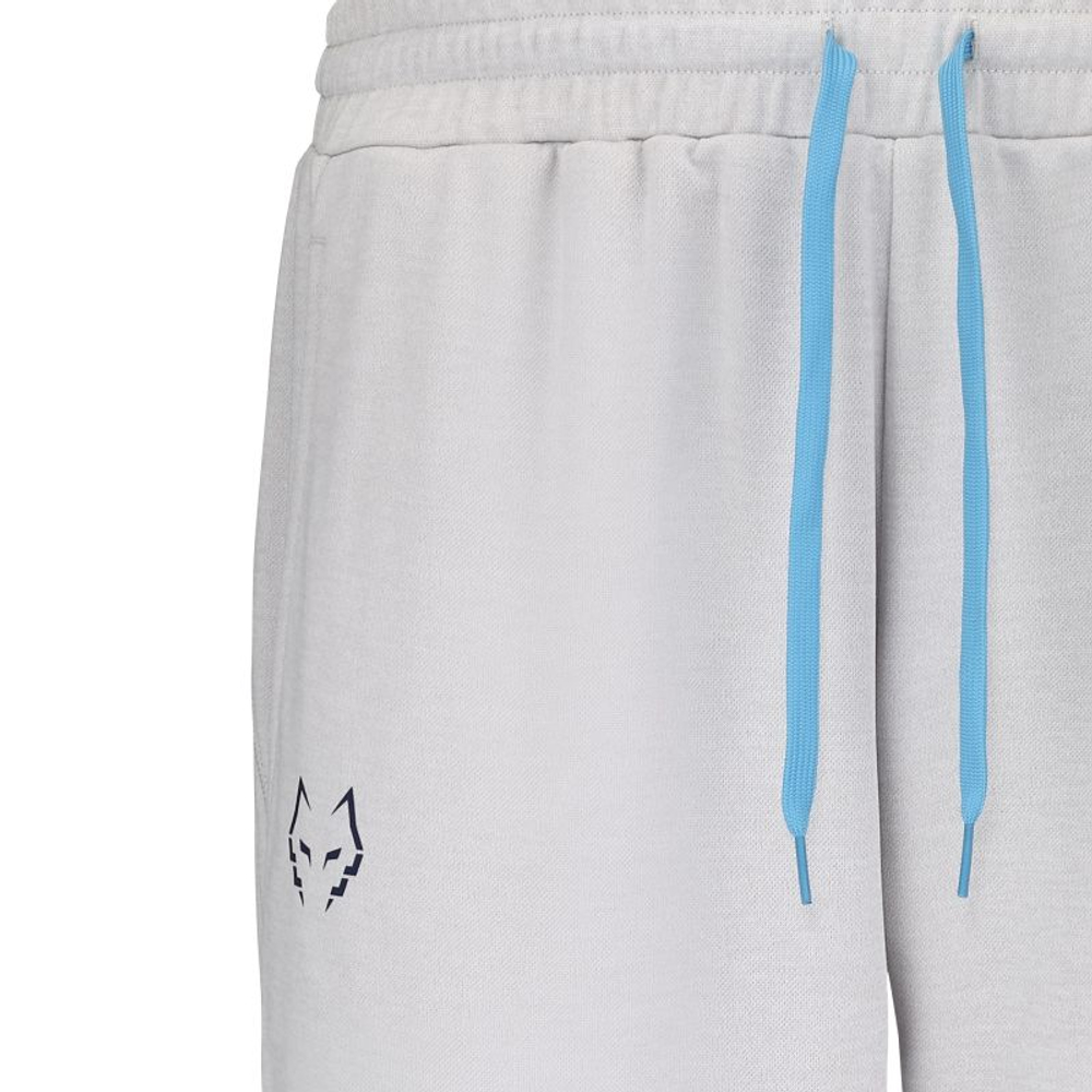 Теннисные брюки Babolat Pant Lebron