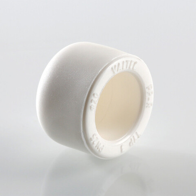 Заглушка полипропиленовая 25