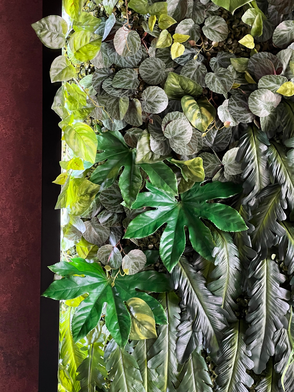 Вертикальное озеленение искусственными растениями автосалона «100 машин»