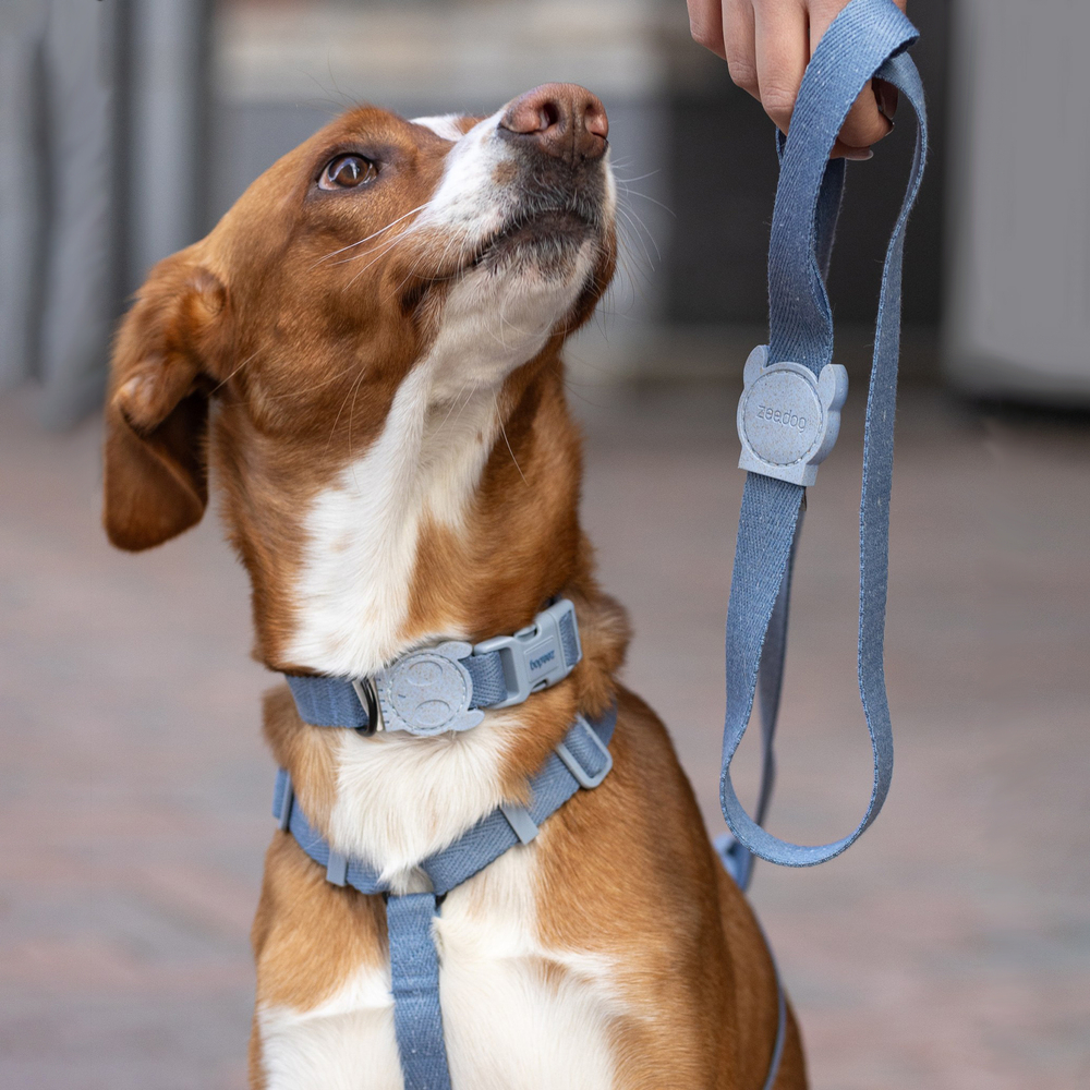 Ошейник MARINE NATURALS Zee.Dog