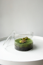 Экосистема Цилинд с фиттонией