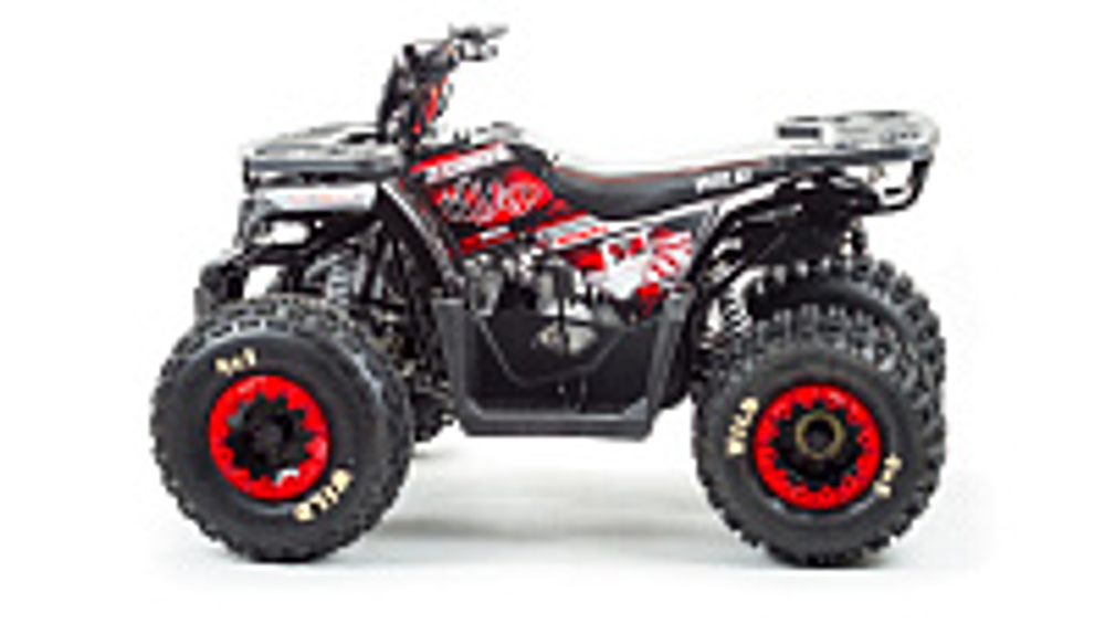 Квадроцикл PROMAX WILD 175