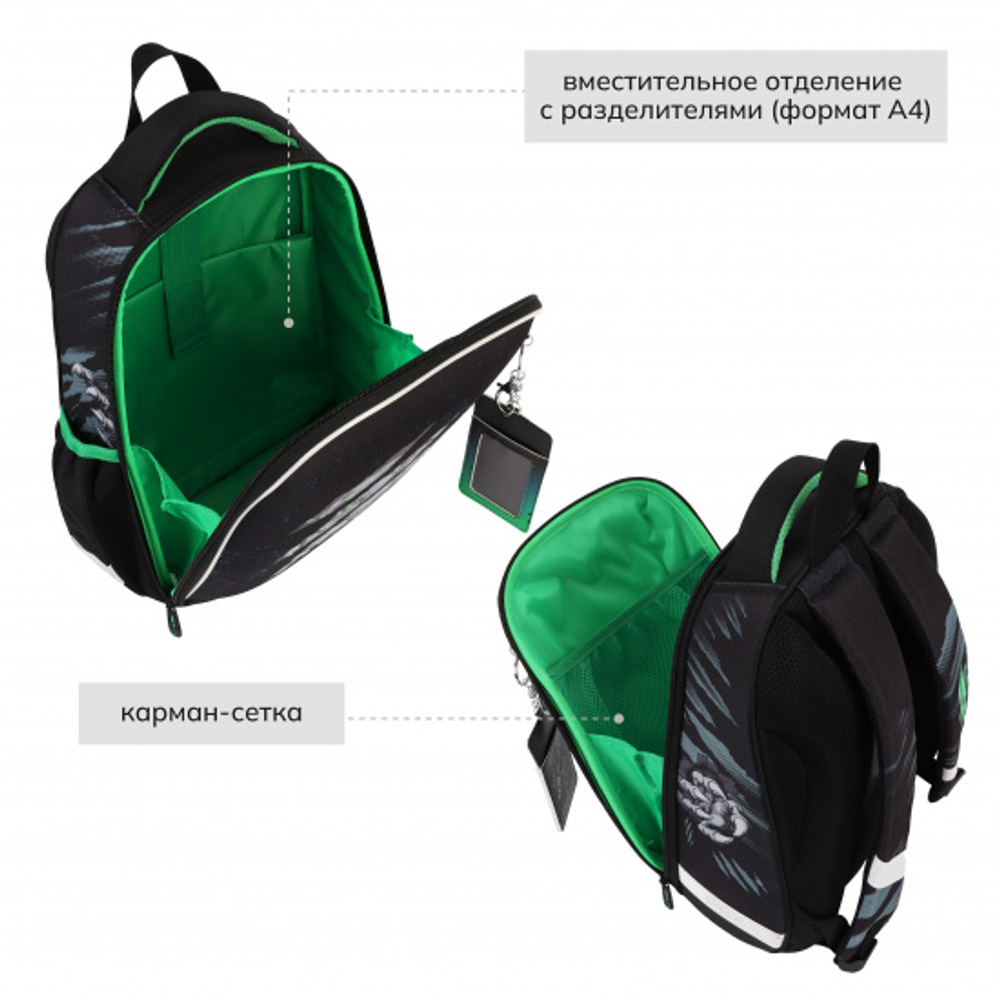 Ранец, спинка эргономичная, 1 отделение, 35*27*13 см, ERGO Light, Tiger, КОКОС, 210590