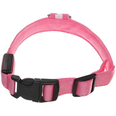 Ошейник для собак «Люмисцент» 2,5*50см светящийся, цвет розовый Ультрамарин