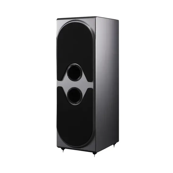 Wilson Audio Thor Hammer Subwoofer Carbon
