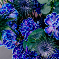 82. Элегантный стойкий синий букет с диантусами и эрингиумом