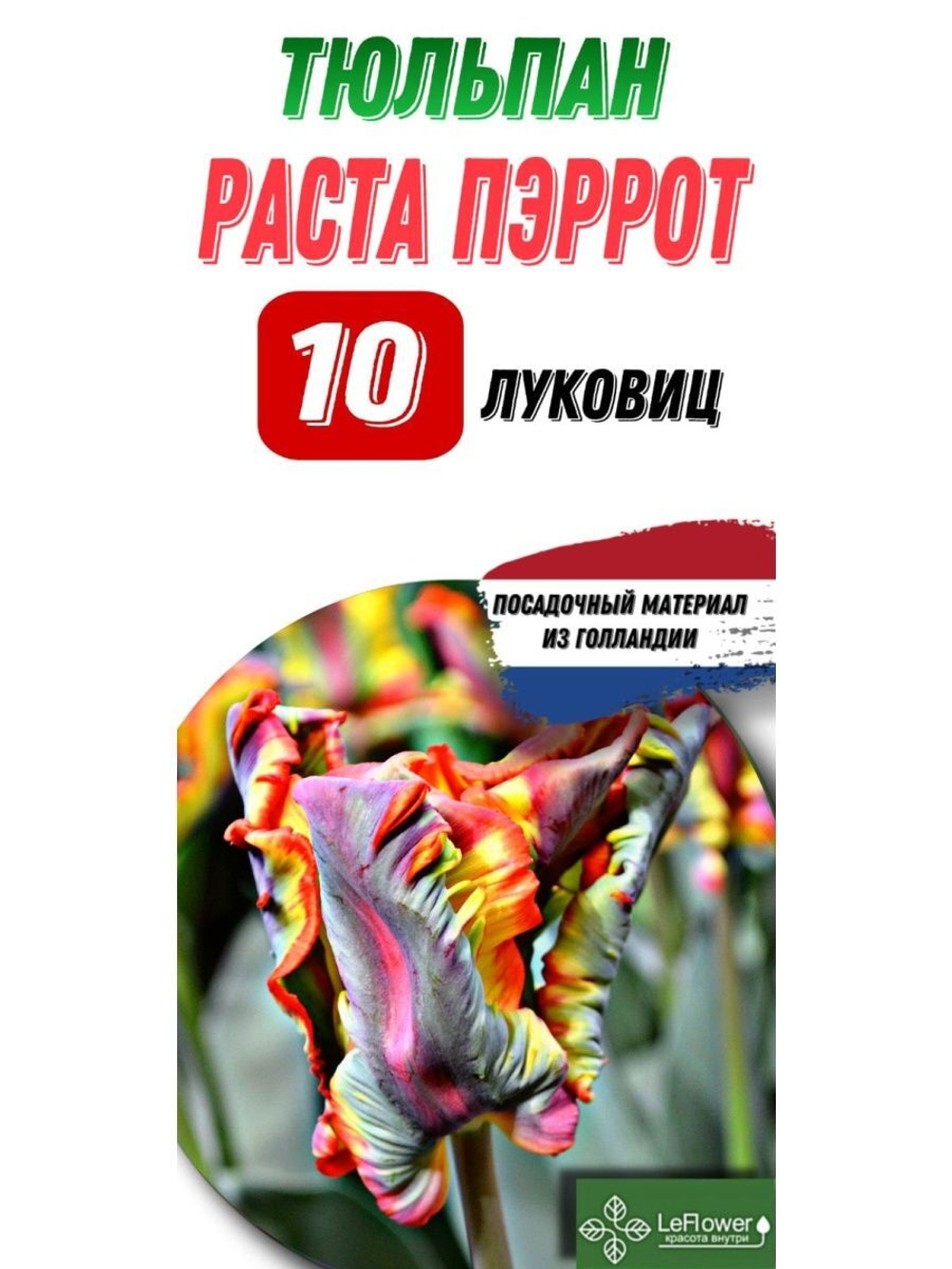 Тюльпан Луковица, Раста Пэррот, 10шт