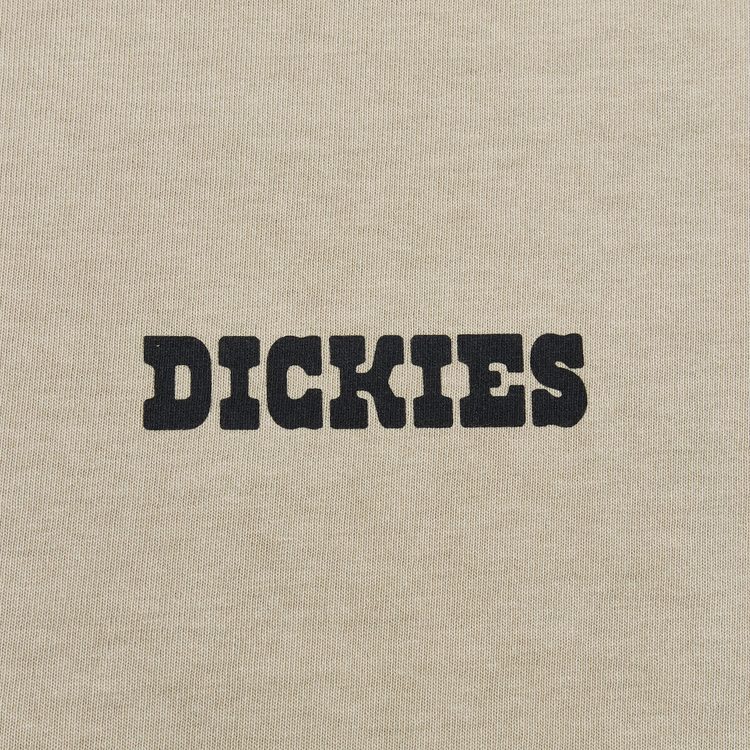 Футболка мужская Dickies Darrtown Short Sleeve Tee 