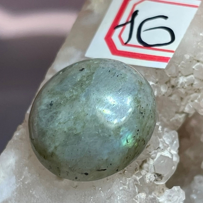 37620 Лабрадор Кабошон круг 16мм-46
