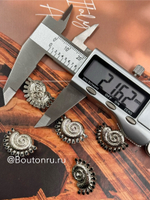 Пуговицы серебристые ракушка с черной эмалью Скиапар.