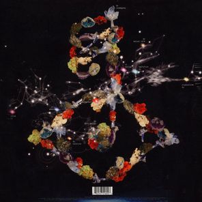 Bjork / Biophilia (2LP)