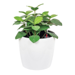 Кашпо АНФА 6,0л D220мм H=200мм вставка V=3,8л и автополив, с индикатором уровня воды