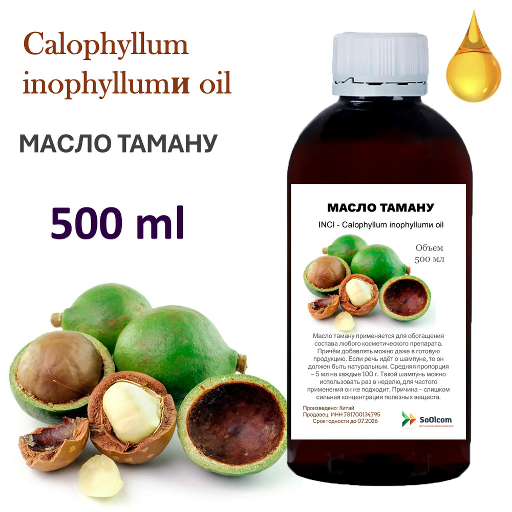 Масло таману / Calophyllum inophyllumи oil