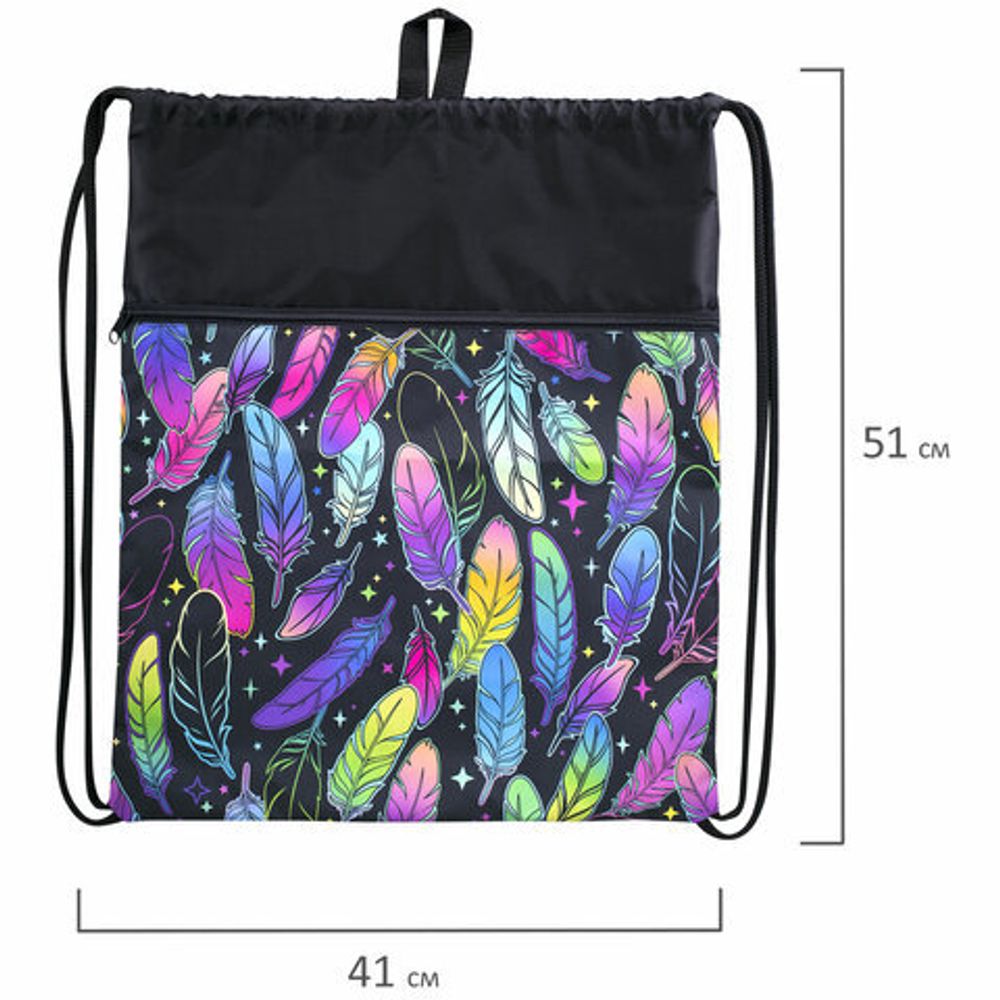 Мешок для обуви BRAUBERG БОЛЬШОЙ, с ручкой, карман на молнии, сетка, 51х41 см, "Feathers", 271057