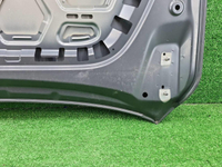 Капот Geely Monjaro (2021-н.в.)