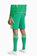 Шорты adidas Tiro 24 Training - зеленый