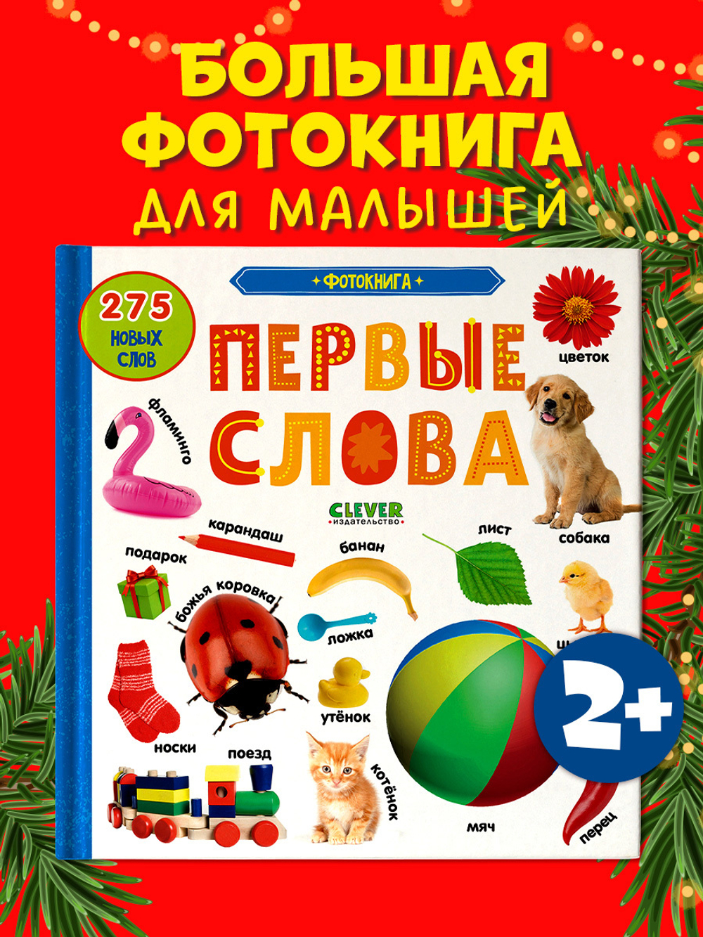 Первые знания. Фотокниги. Первые слова