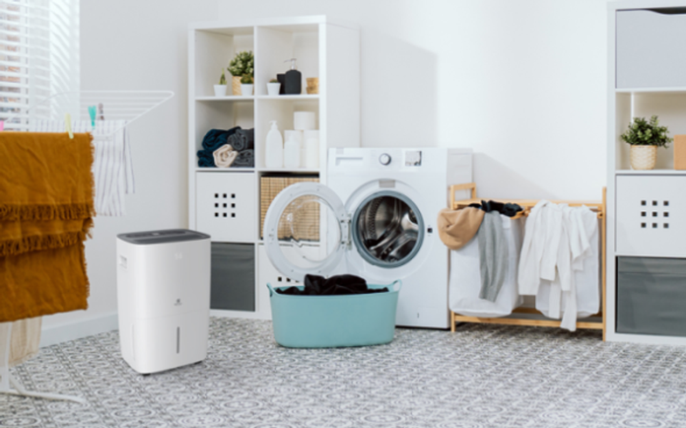 Осушитель воздуха серии CARISMA Villa RD-CR40-E