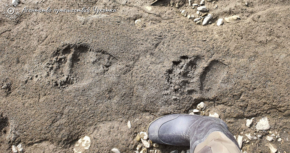 Озеро Красное - трофейная рыбалка в центральной Чукотке