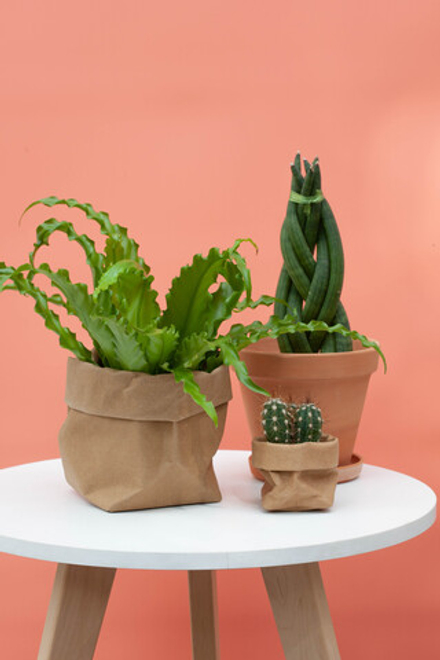 Мексиканский набор мини