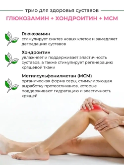 Глюкозамин Хондроитин + МСМ 120кап