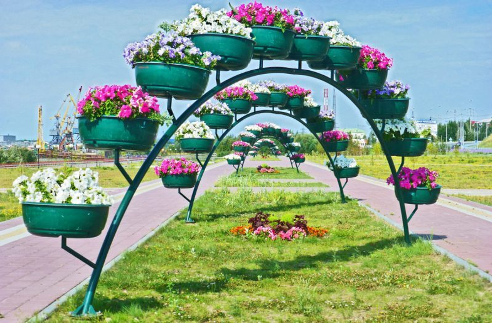 Арка Сингл-1