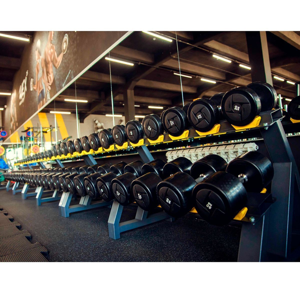 A2215-10 Стойка для гантелей (на 10 пар) TANGEN