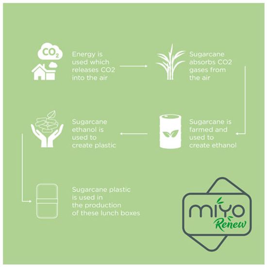 Двухслойный пищевой контейнер MIYO Renew