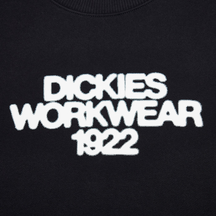 Толстовка Dickies Torrey Sweatshirt артикул:DK0A88BSBLK1 - купить в магазине Дайс
