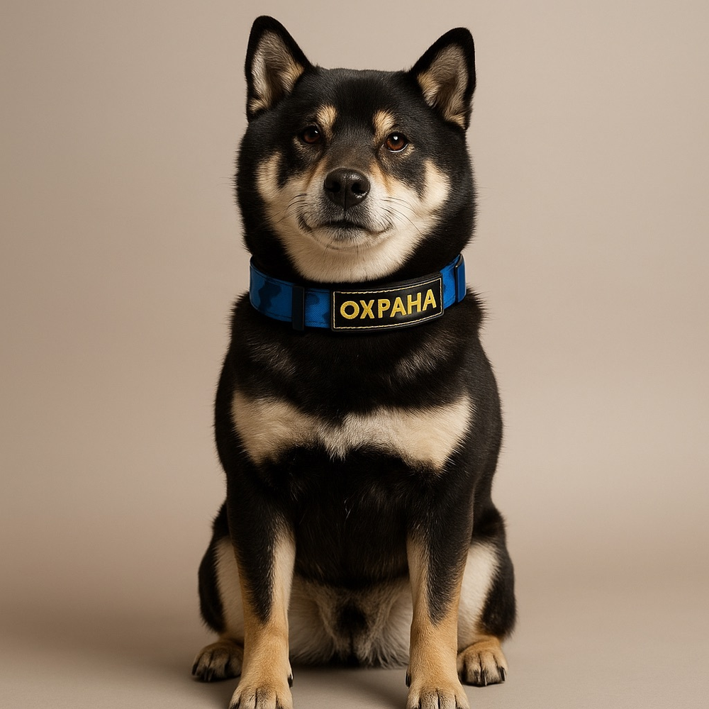 Ошейник Охрана