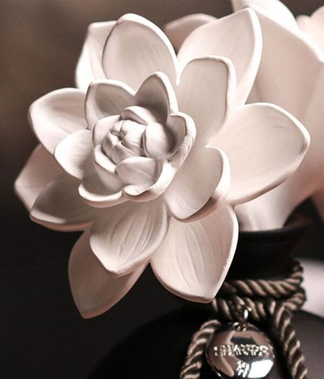 Lotus Glace, ароматический диффузор с необычными палочками, Chando