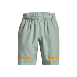Мужские теннисные шорты Under Armour Woven Graphic Wordmark Shorts Men - Grey