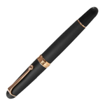Перьевая ручка Aurora 88 Big Black PGT, перо — F, в подарочной коробке