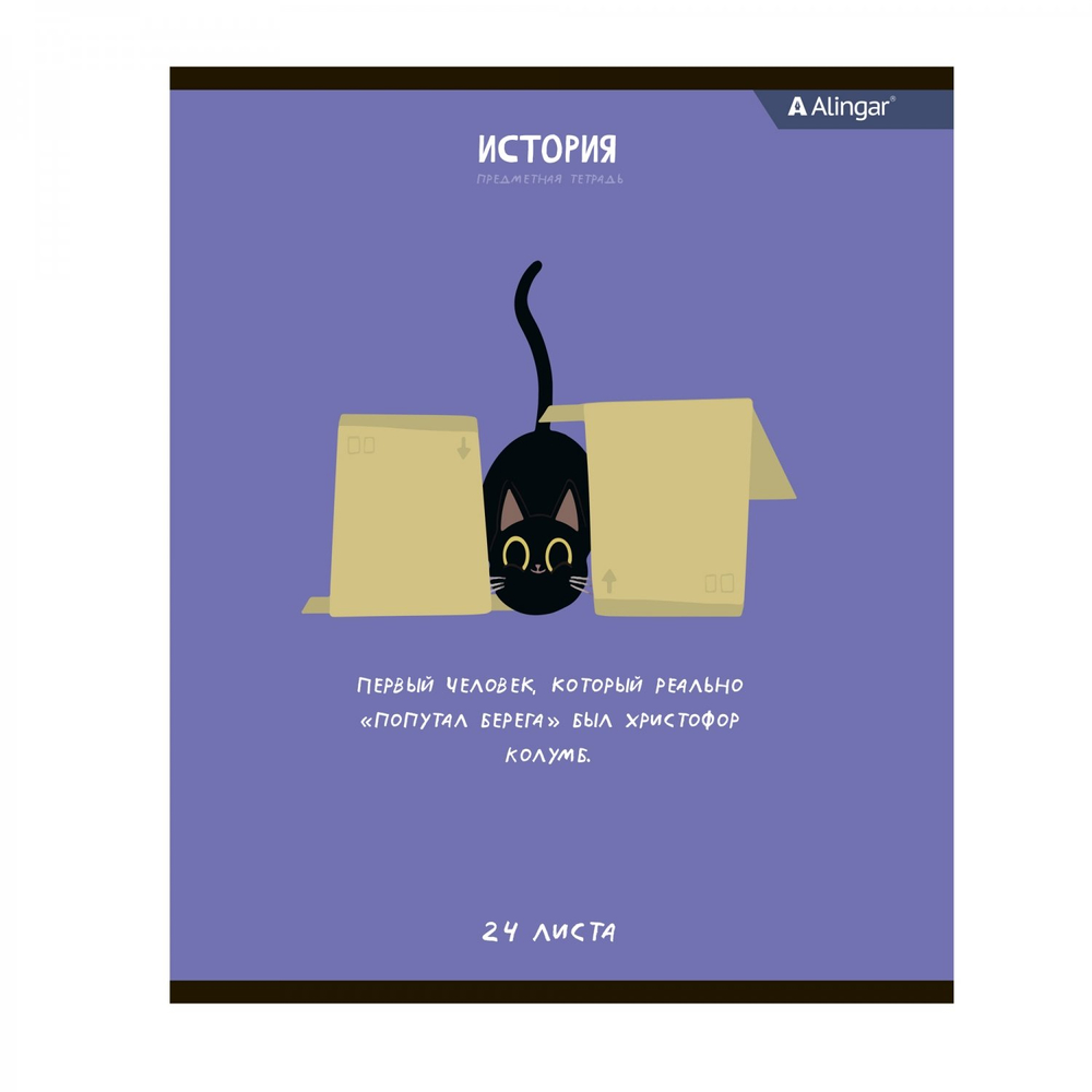 Комплект предметных тетрадей А5 24л., 8 предметов, со справочным материалом, скрепка, мелованный картон (стандарт), блок офсет, Alingar "Чёрный котик"
