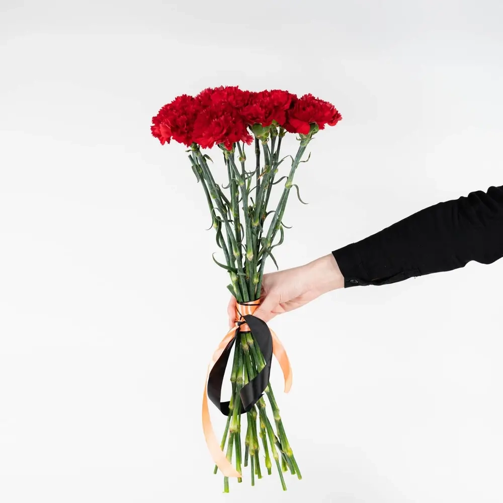 Bouquet of 15 red tulips