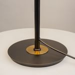 Настольный светильник Maytoni MOD348TL-L14BBS3K